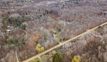 2222 Loree Rd, Applegate, MI 48401