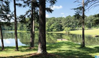 411 DR JENKINS Ln, Altoona, AL 35952