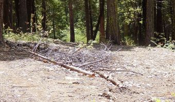 232 Iroquois Dr, Camp Connell, CA 95223
