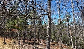 393 SPITZ Ln 99, Basye, VA 22810