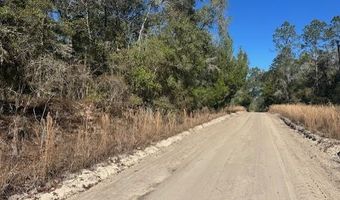 SW 22nd Pl, Bell, FL 32619