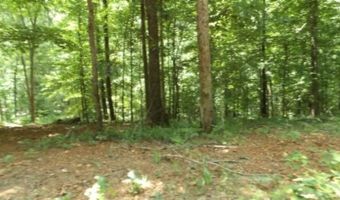 8 63ac Gravely Hill Rd, Bethpage, TN 37022