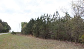 95 Herman Bell Rd, Mauk, GA 31058