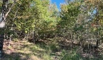 County Road 118, Annapolis, MO 63620