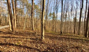 Muddy Ridge Rd, Adams, KY 41201