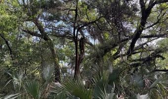 207 Muscadine Wynd, Bald Head Island, NC 28461
