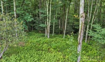 Featherwood Trail, Banner Elk, NC 28604