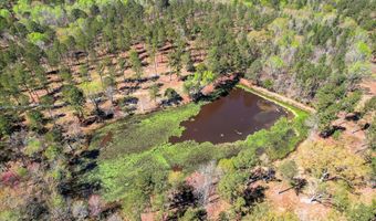 6355 Cobbham Rd Lot 17, Appling, GA 30802