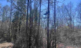10 Robinsonville Rd, Atmore, AL 36502