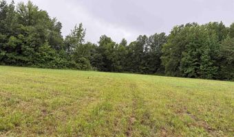 100 Acres Highway 34 W, Beech Grove, AR 72412