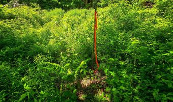 1905 Camp Munn Rd, Bradford, VT 05033