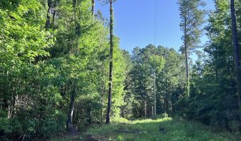 Jarvis Landing Road, Aurora, NC 27806
