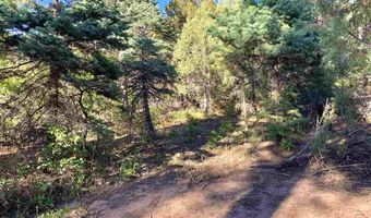 End of El Salto Road, Arroyo Seco, NM 87514