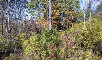 90 Joyce Way, Augusta, KY 41002