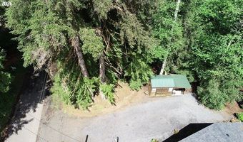 9857 BEACH Dr, Birkenfeld, OR 97016