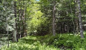 1585 Chateauguay Rd, Barnard, VT 05031