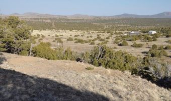 20 County Road 3044, Concho, AZ 85924