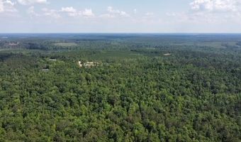 4540 Faceville Hwy, Bainbridge, GA 39819