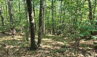 0 Tower Hill Rd, Candia, NH 03034