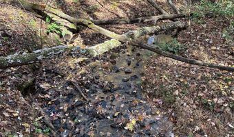 39 Planters Creek Dr, Baldwin, GA 30511