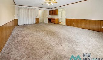 1212 Landsun Dr, Carlsbad, NM 88220