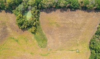 72 Acres S Cameron Rd, Archie, MO 64725