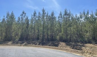 903 Old Glory Ln Lot 27, Brandon, MS 39047