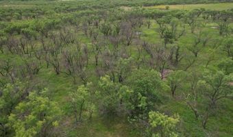 Tbd FM 600, Anson, TX 79501