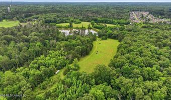 Vine Drive, Brandon, MS 39047