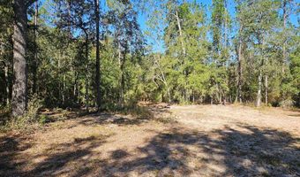 TBD 62nd Pl, Bell, FL 32619