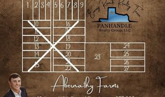 Shepard St, Abernathy, TX 79311