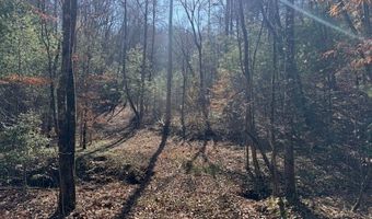 1834 Bristol Ave, Andrews, NC 28901