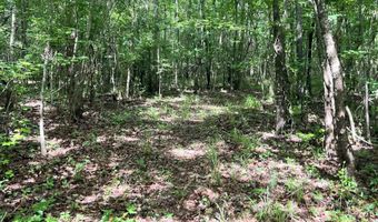 930 ANNISTON BEACH Rd Lot 0, Anniston, AL 36206