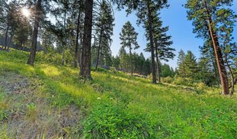 32 Bridle Ct, Bigfork, MT 59911