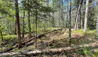 Map 202-Lot 39 Parker Road, Bethlehem, NH 03574
