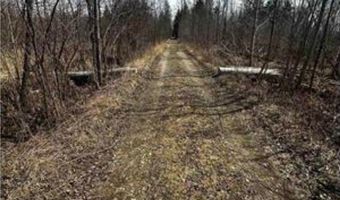 6002 Wildwood, Alger, MI 48610