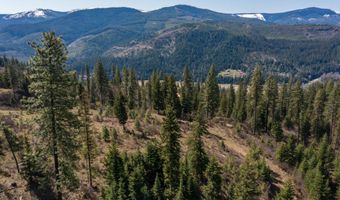 NKA 262 Ac N Side Rd, Calder, ID 83808