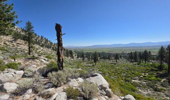 1219-04 002-005 Kingsbury Grade Rd, Gardnerville, NV 89460