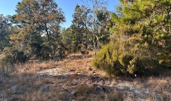 NE 99th Pl, Archer, FL 32618