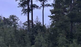 Fop Lodge Rd, Andalusia, AL 36421