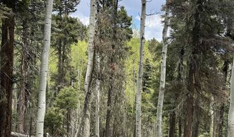 Lot 1419 Sacramento, Angel Fire, NM 87710