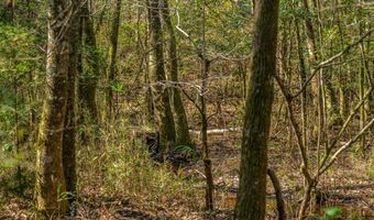 001 Old Stage Rd, Atmore, AL 36502