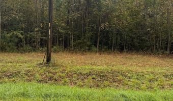 BLACK SWAMP ROAD, Felton, DE 19943