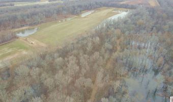 Holloway Landing Road, Barlow, KY 42024