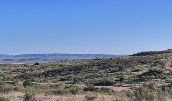 Tract 39 Sierra La Rana, Alpine, TX 79830
