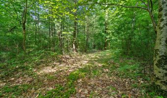 1125 39th St, Allegan, MI 49010