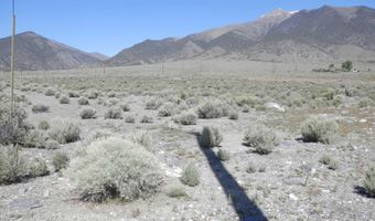 105 Tonkin Ct, Austin, NV 89310