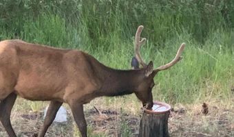 28 County Road 2310, Alpine, AZ 85920
