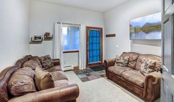 1095 Quartzville Rd, Alma, CO 80440