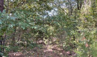 Tract 52 E 1885 Road, Antlers, OK 74523